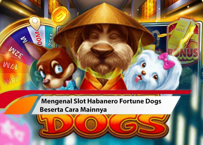 habanero fortune dogs
